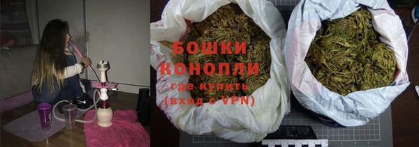 прущий лед Дмитриев
