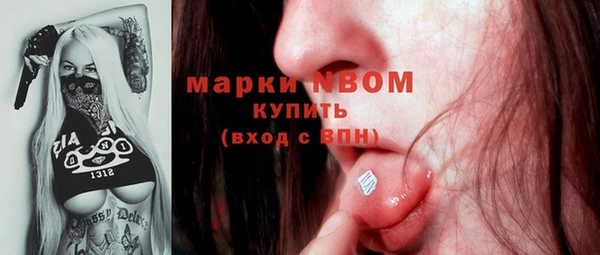 прущий лед Дмитриев