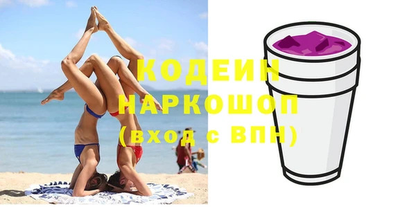 прущий лед Дмитриев