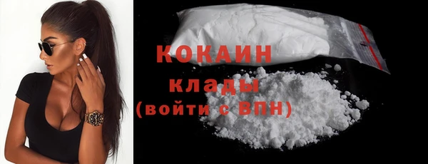 прущие грибы Дмитровск