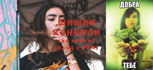 прущий лед Дмитриев