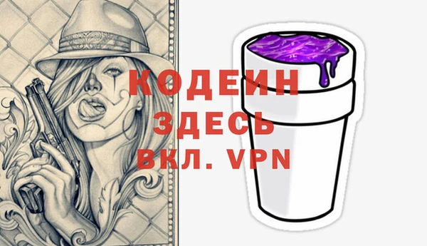 прущий лед Дмитриев