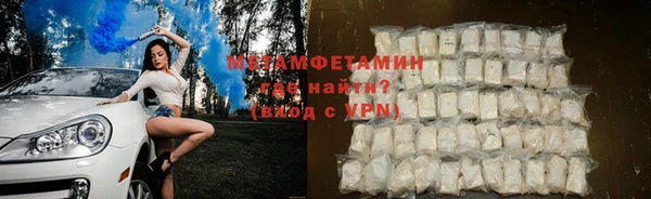 прущие грибы Дмитровск